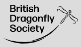 BDS logo